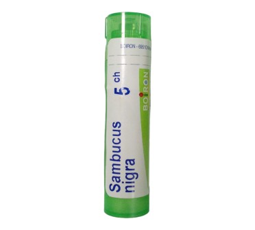 SAMBUCUS NIGRA 5 CH